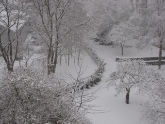 101221 Sous la neige en décembre 2010 (1).jpg
